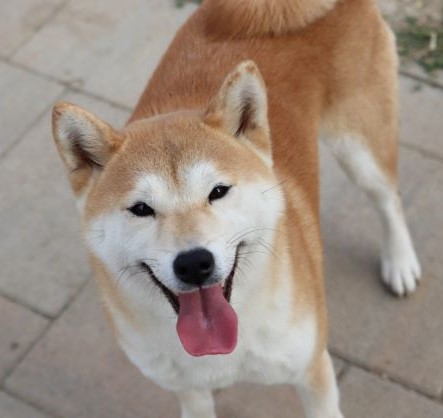 Yumi res